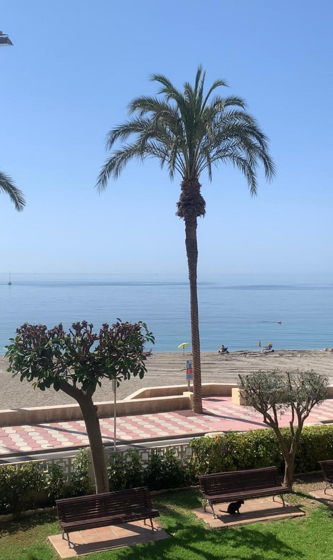 אגוואדולסה Brisas Del Mar Mediterraneo מראה חיצוני תמונה